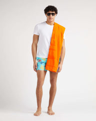 Swim Shorts Ronde des Tortues Tricot / Vilebrequin For sale