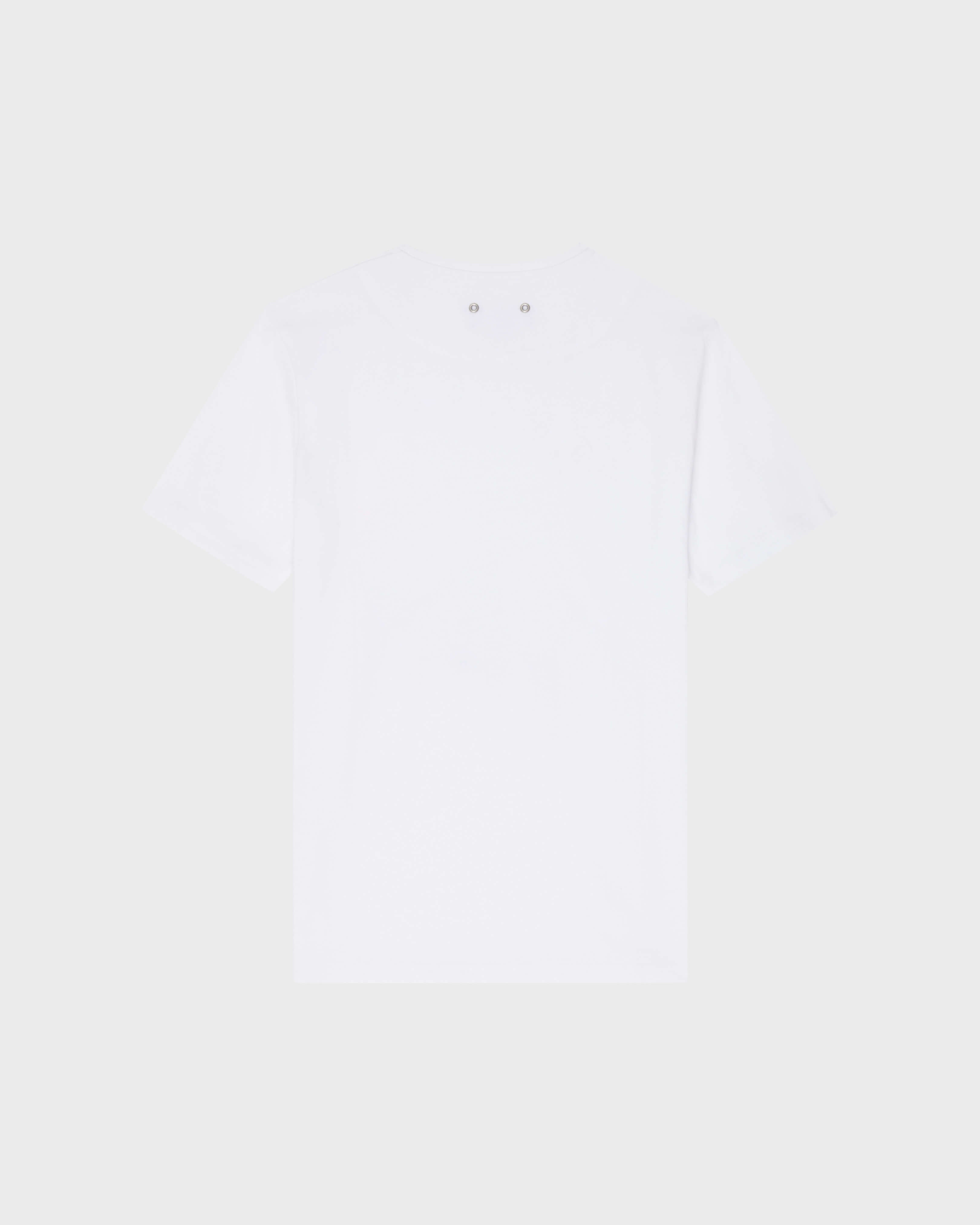 Organic Cotton T-shirt Whales - White / Vilebrequin On sale