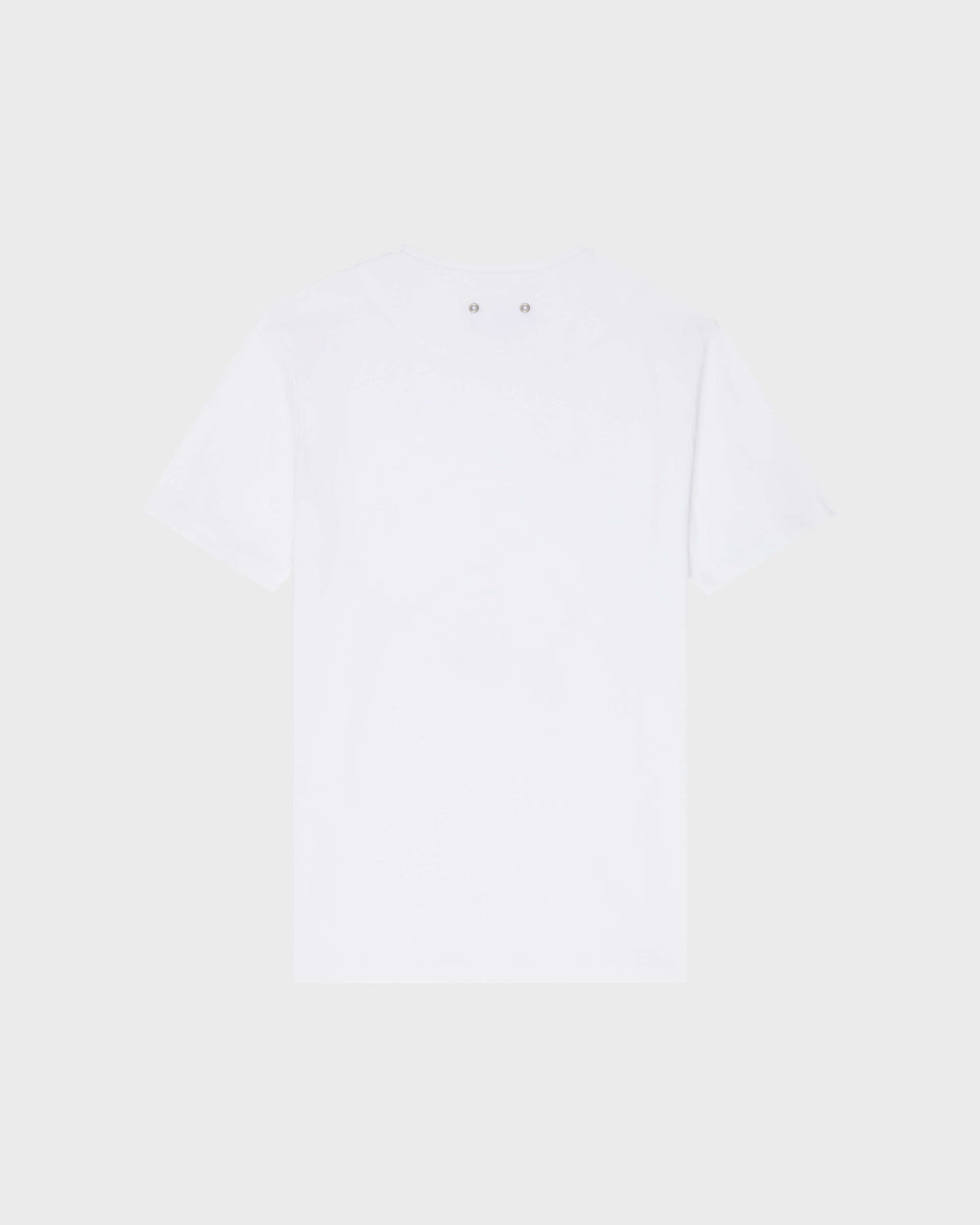 Organic Cotton T-shirt Whales - White / Vilebrequin On sale
