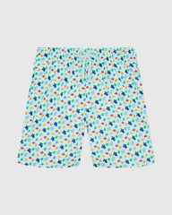 Boys Stretch Swim shorts Micro Ronde Des Tortues Rainbow - Blue Pacific / Vilebrequin For sale