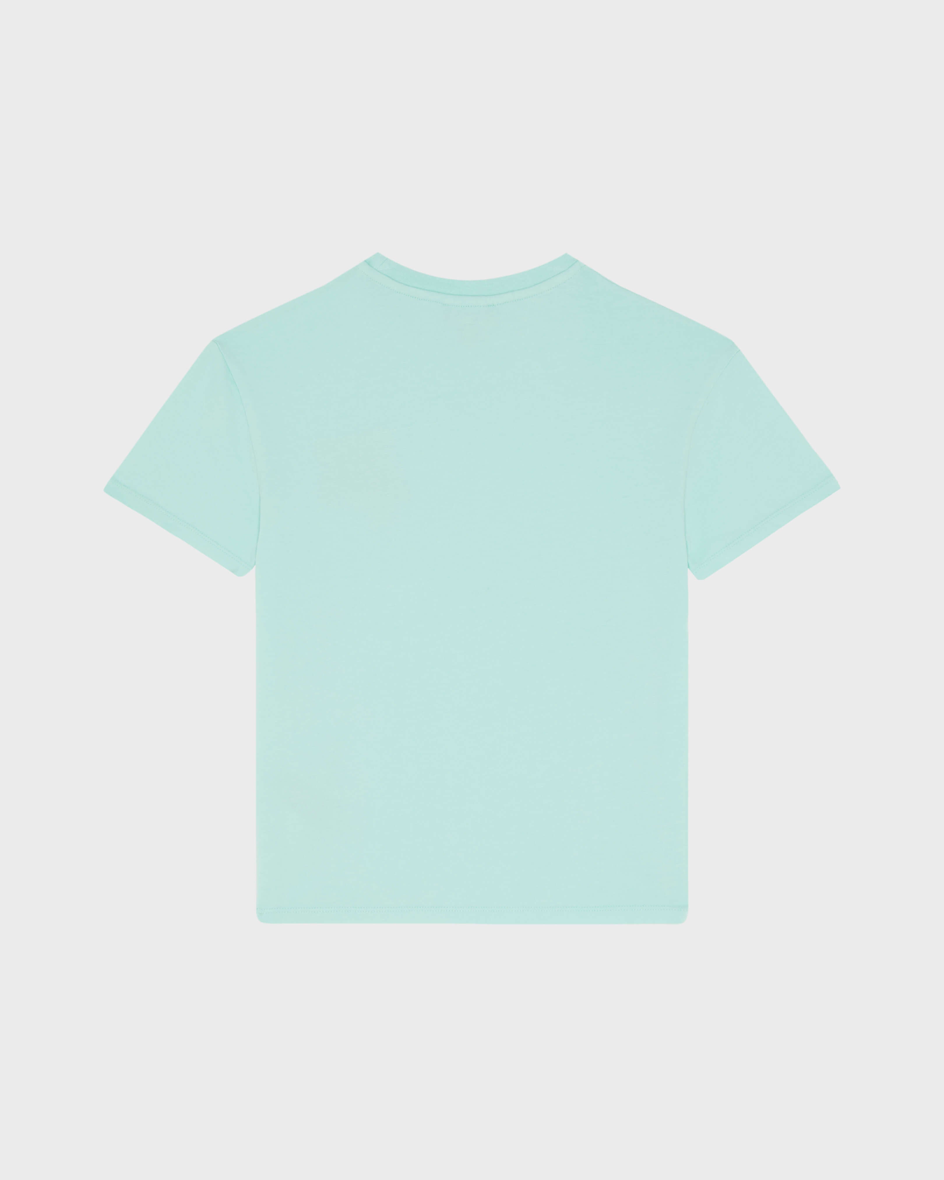 Boys Organic Cotton T-shirt Embroidered Turtle - Green Caribbean / Vilebrequin For sale