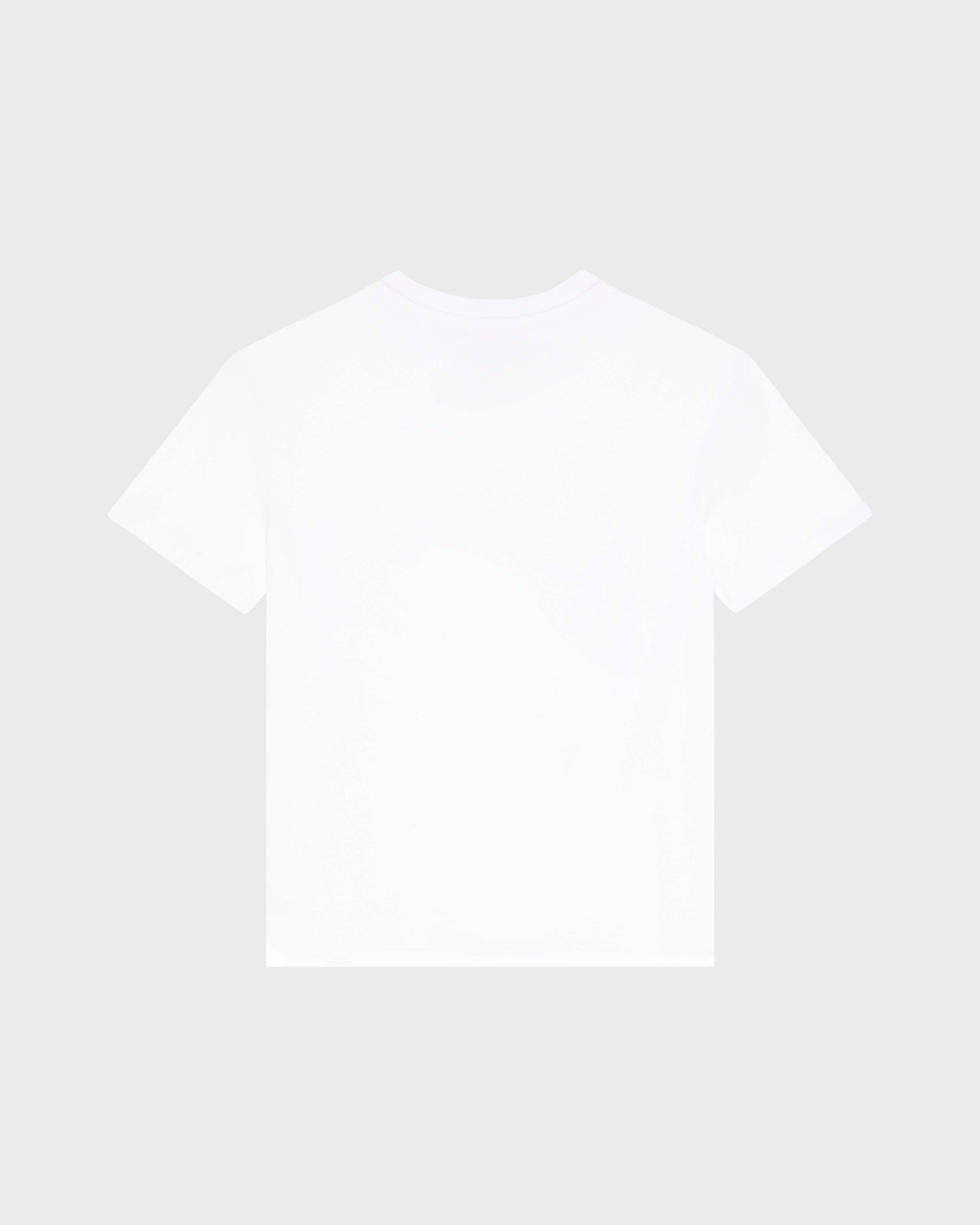 Boys Organic Cotton T-shirt Big Turtle Print - White / Vilebrequin Discount
