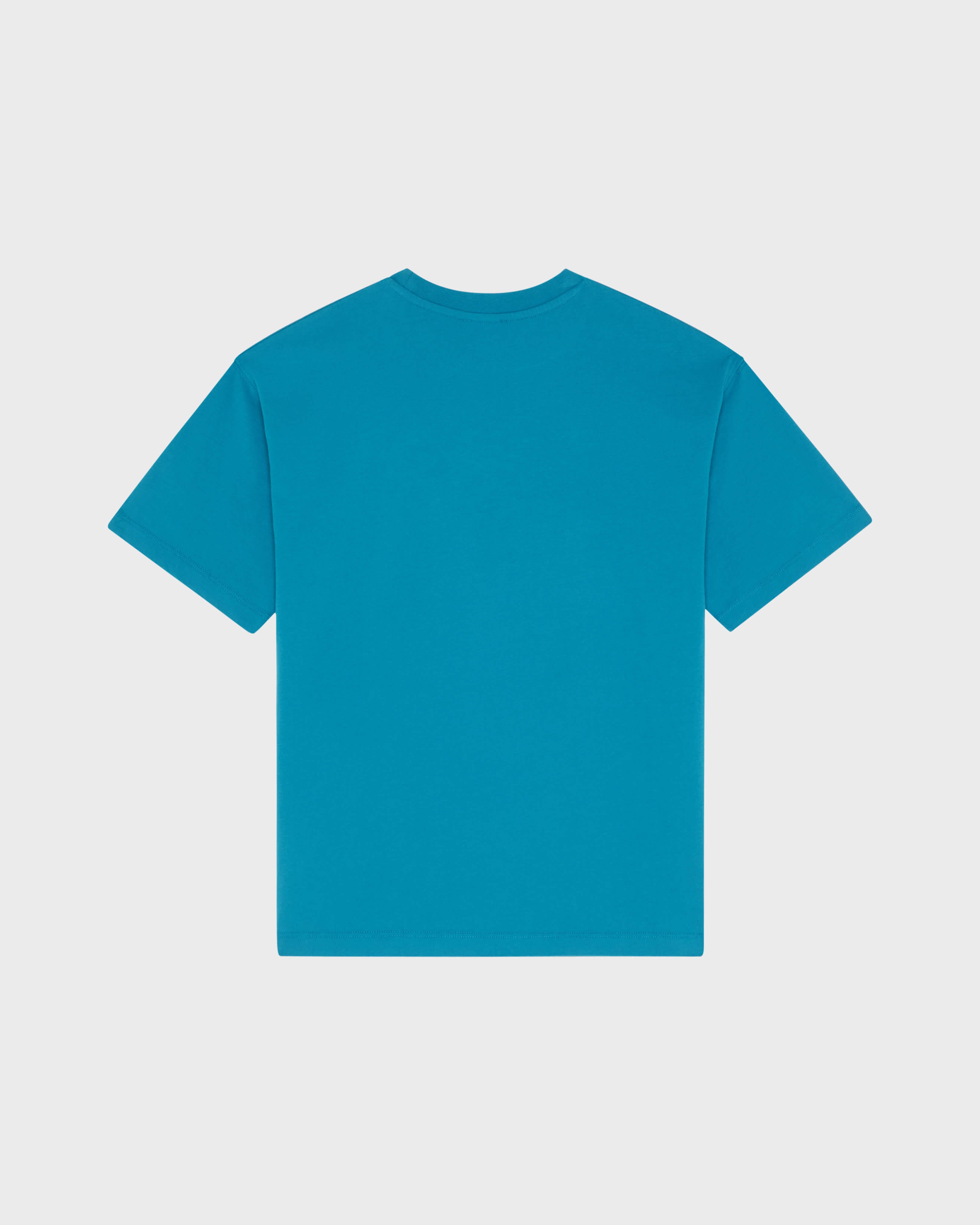 Boys Organic Cotton Oversize T-shirt Big Turtle - Blue Coin coin / Vilebrequin Online