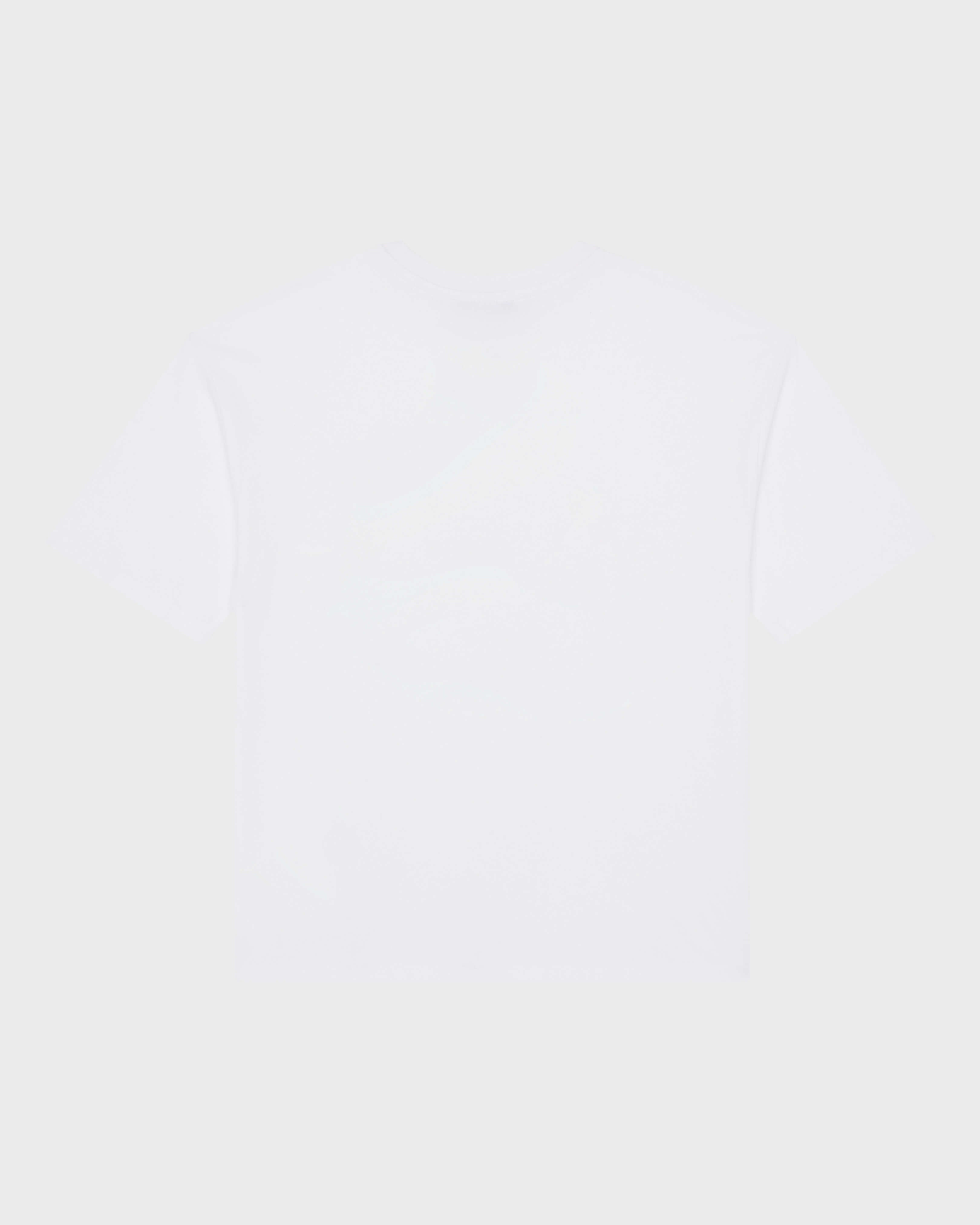 Boys Oversize T-shirt Printed Whales Turtle / Vilebrequin Outlet