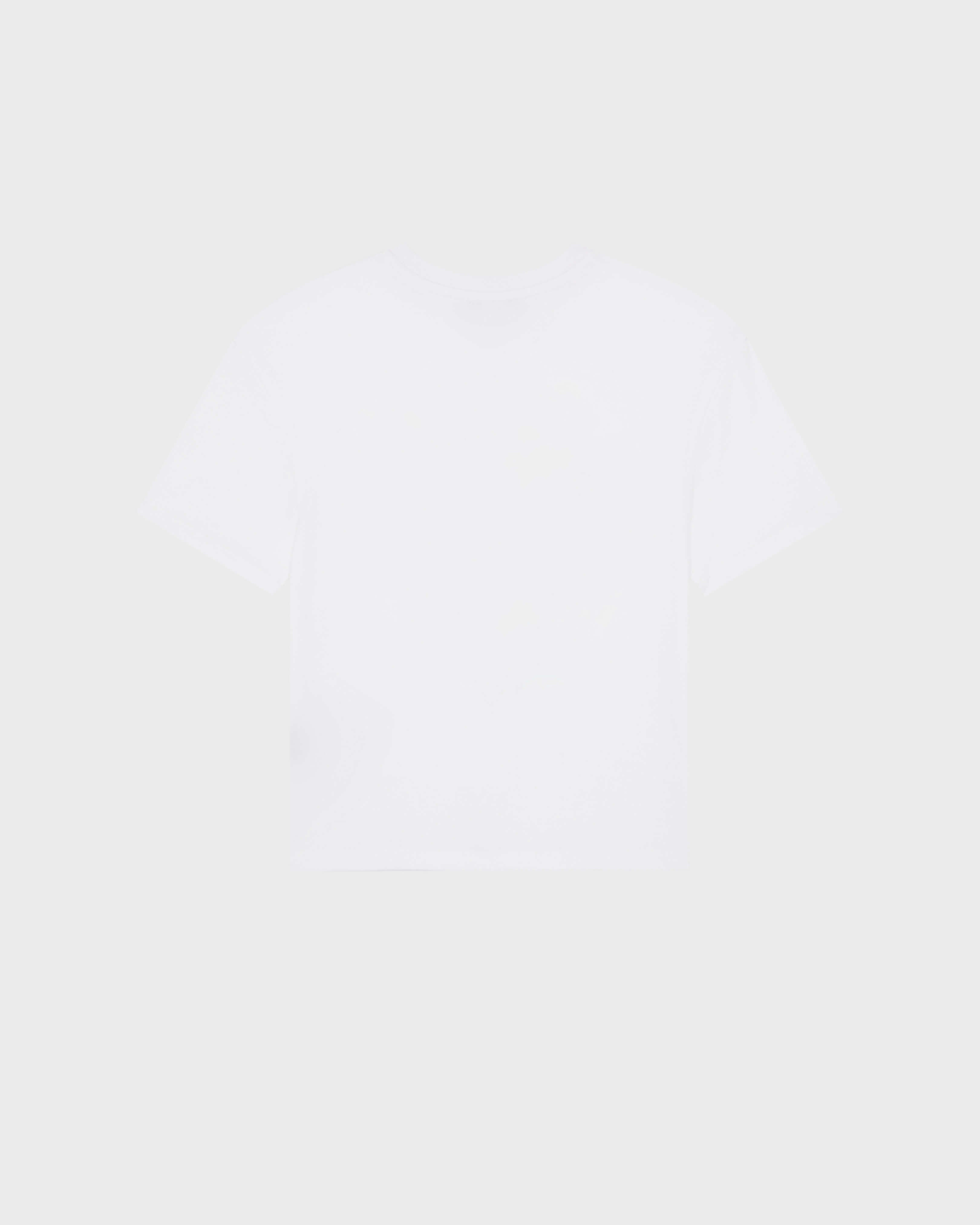 Boys Regular Cut T-shirt Orcas / Vilebrequin US