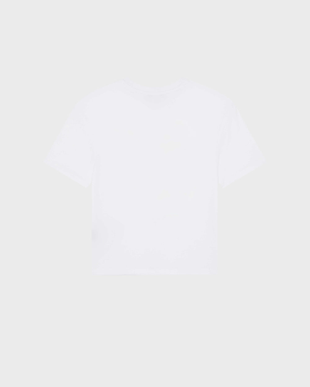 Boys Regular Cut T-shirt Orcas / Vilebrequin US