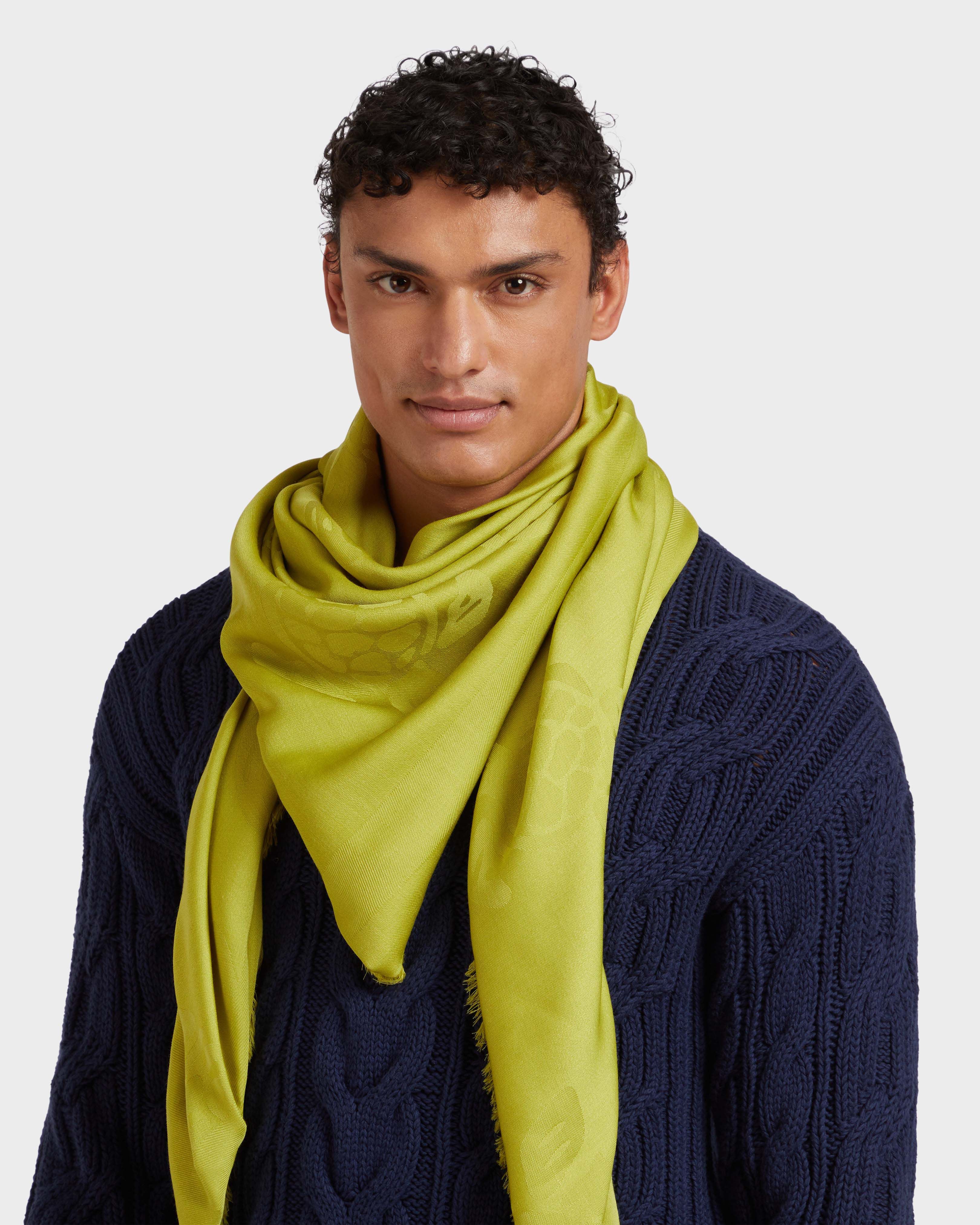 Ronde des Tortues Scarf / Vilebrequin New
